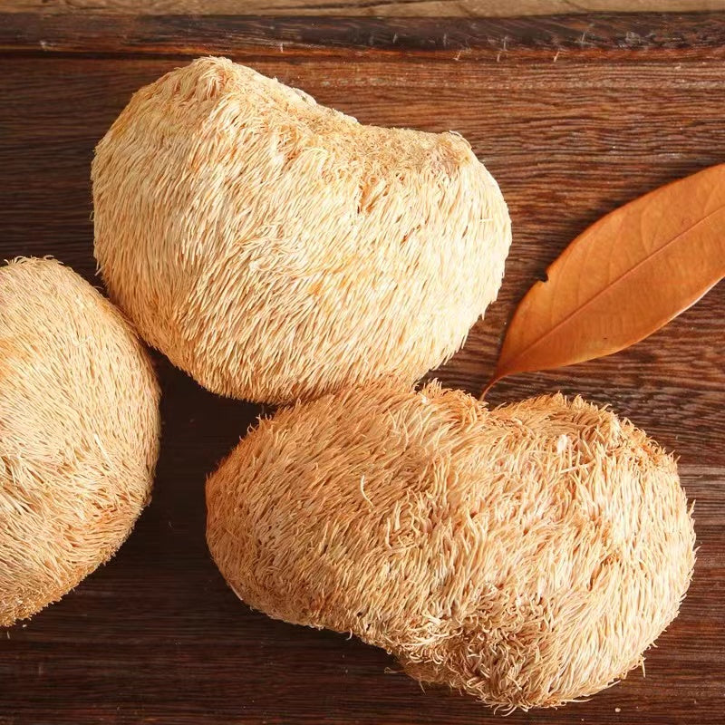 Wild Dried Monkey Head Mushroom 猴头菇 200G