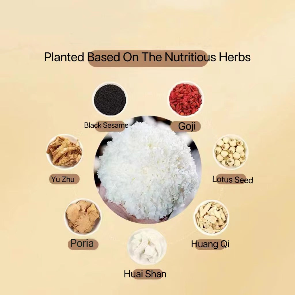 Organic Golden Tremella 有机本草金丝耳 Organic Herbal White Fungus 80G (Buy 1 Free 21 Packet Condiments)