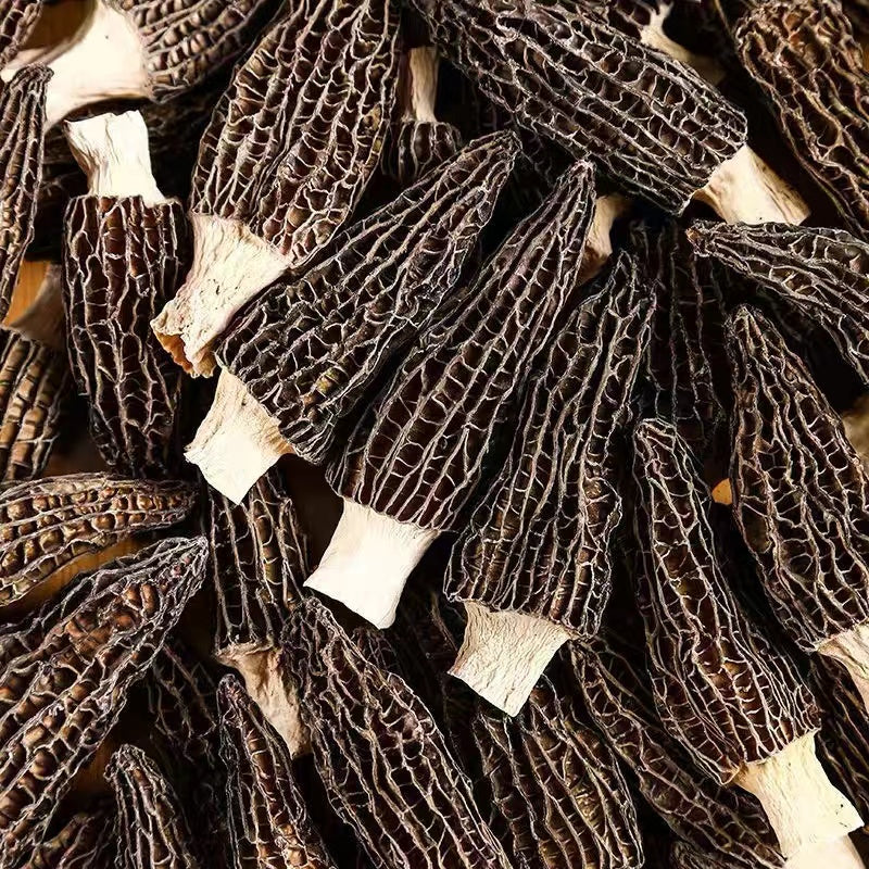 Morel Mushroom/Yang Du Jun 羊肚菌 50G