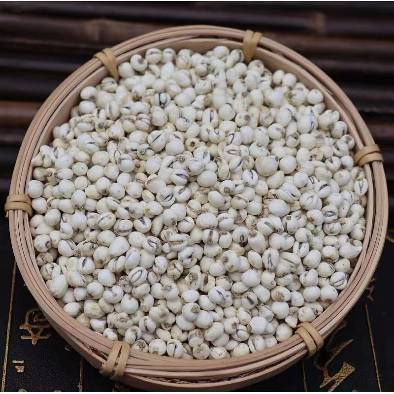 Chuan Bei/Fritillaria Bulbs/Powder 川贝粒/川贝粉 50G