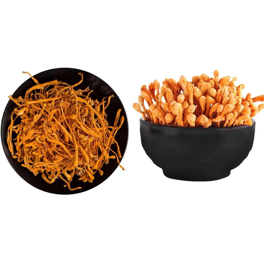 Premium Cordyceps Flower/Head 特级虫草花/孢子头虫草花100G