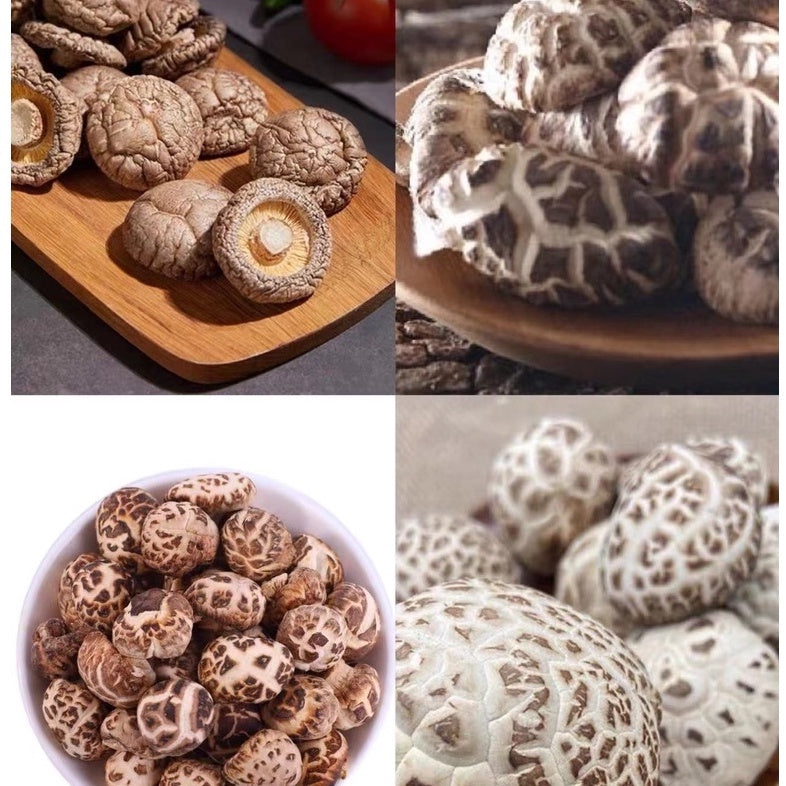 Dried Mushroom Black/White/Big White/Pearl Flower/Japan Mei Shan Mushroom 3-4cm/6+-cm/2cm+-/3+- 200G/250G