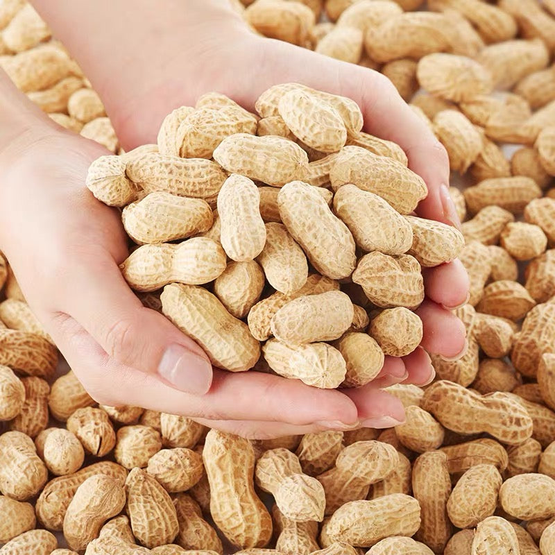 Shelled Peanut Snack 花生/500g