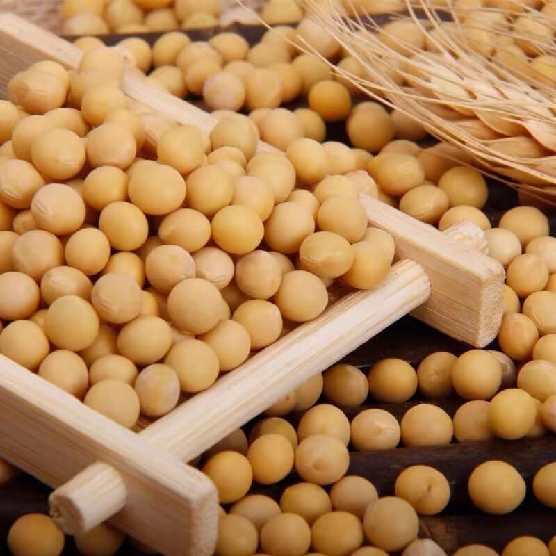 Organic Soya Bean/400g