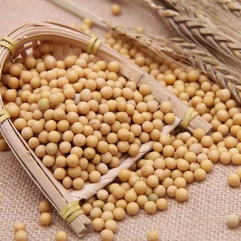 Organic Soya Bean/400g