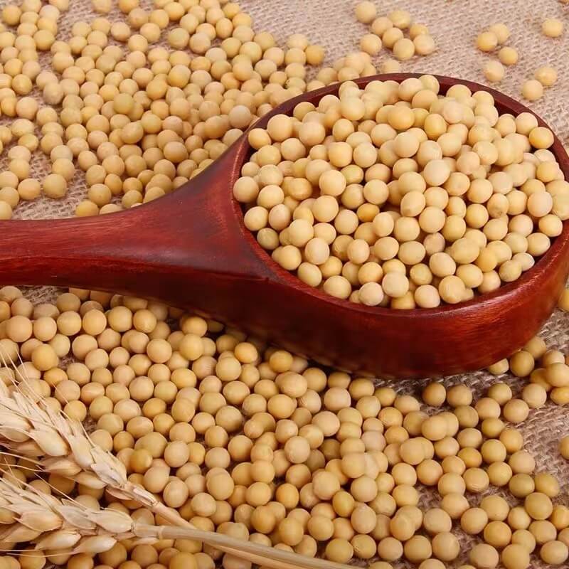 Organic Soya Bean/400g