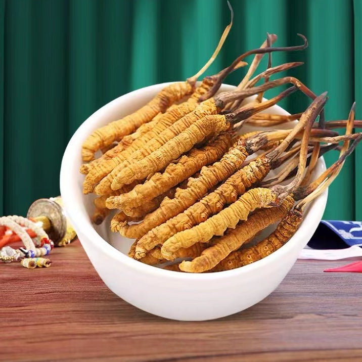 Wild Tibet Cordyceps/ (8pcs/Bottle)