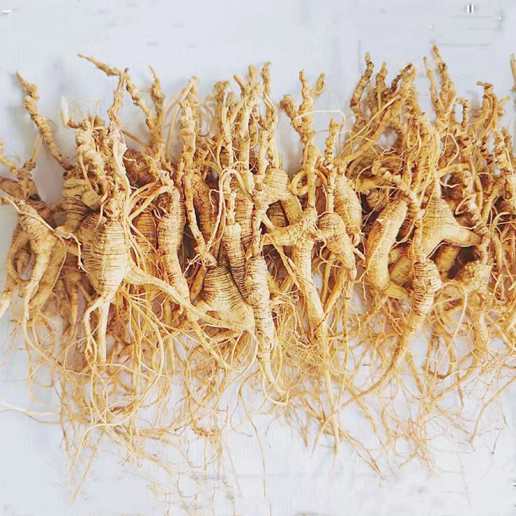 Wild Ginseng/野山参 50g