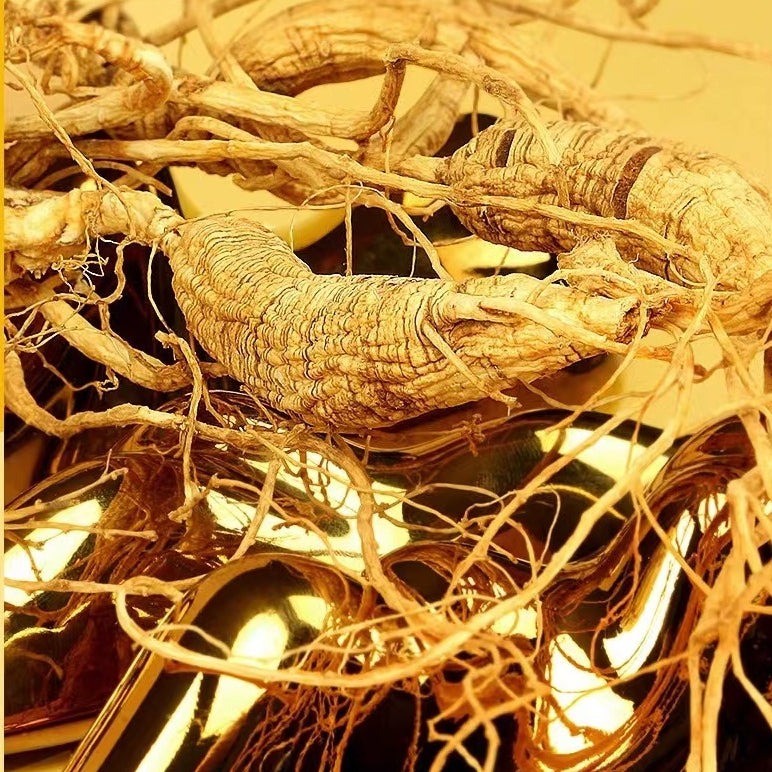 Wild Ginseng/野山参 50g