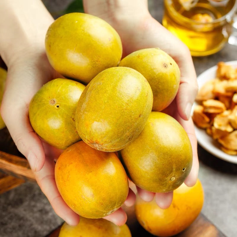 Gold Monk Fruit/Gold Luo Han Guo/Large Size/Per Piece