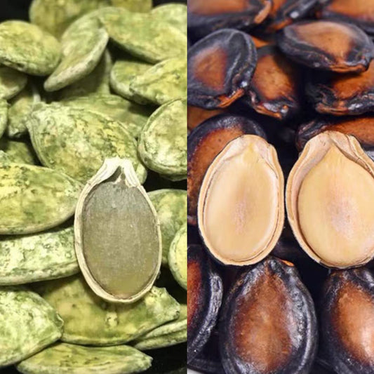 Black/Green Tea Melon Seeds 黑瓜子/绿茶瓜子 250g