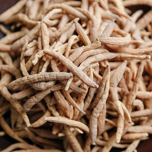 Pseudostellaria Root/Prince Ginseng/Taizishen 太子参 200g