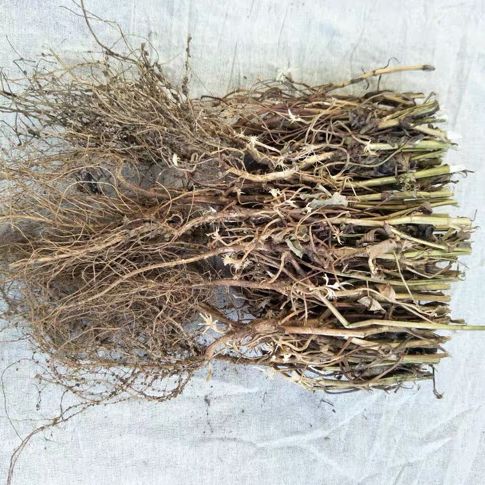 Peanut Root Soup (Helps Kids Grow Taller Soup) 4Pax/助长花生根汤