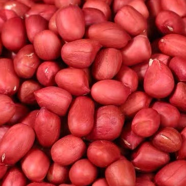 Peanut Root Soup (Helps Kids Grow Taller Soup) 4Pax/助长花生根汤