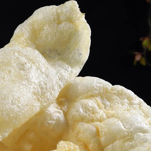 Oil-Free/Baked Fish Maw 100G