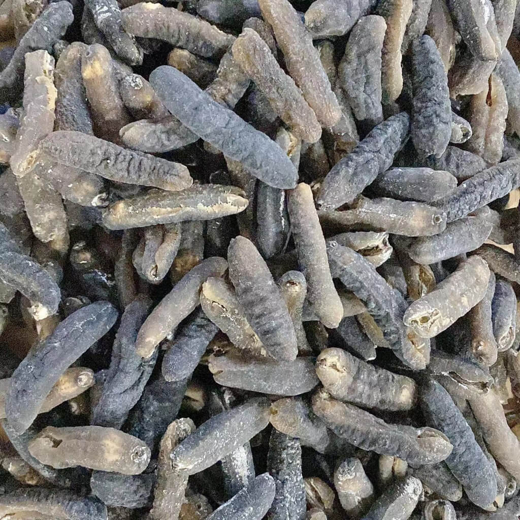 澳洲海参（文图纹秃参）/100g