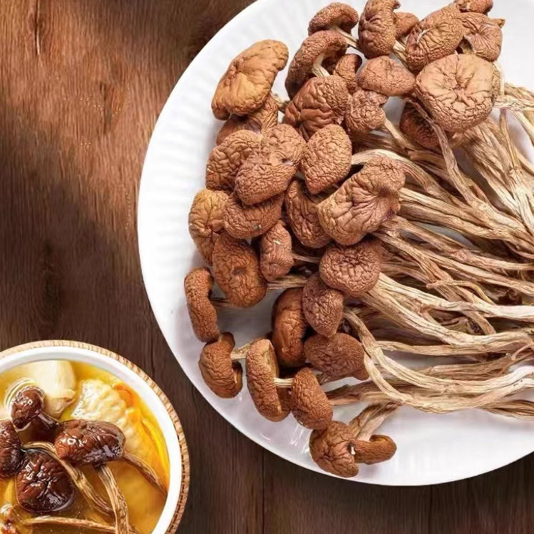 Dried Tea Tree Mushroom/200g