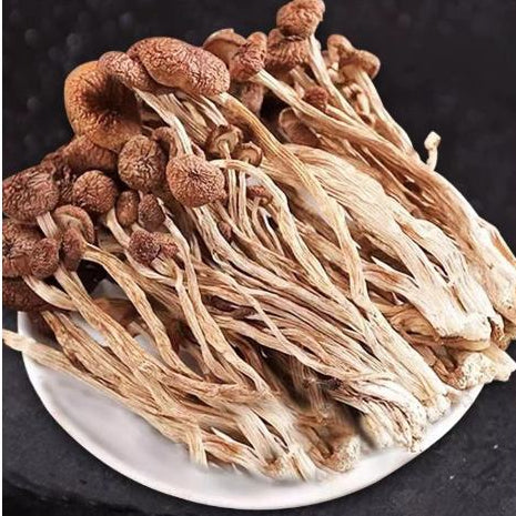 Dried Tea Tree Mushroom/200g