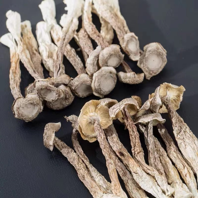 Premium Dried Velvet Mushroom 特级鹿茸菇 200G
