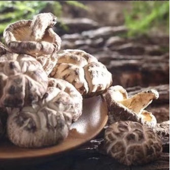 Japan Wild Mushroom 日本野生花菇 100G